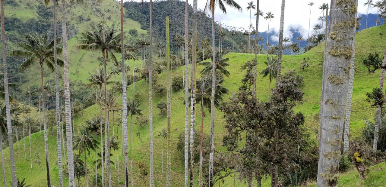 Posada Martha Tolima Salento Exteriér fotografie